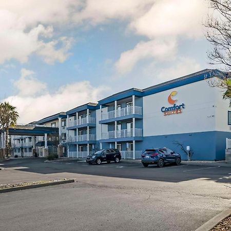 Comfort Suites Red Bluff Near I-5 Екстер'єр фото